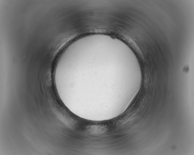 X0000089950251200707271846