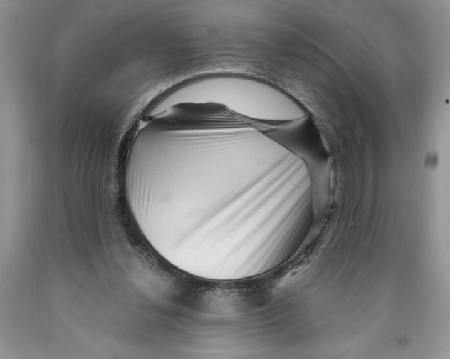 X0000089950252200707271846