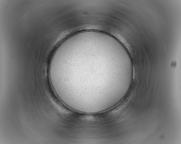 X0000089950253200707271846