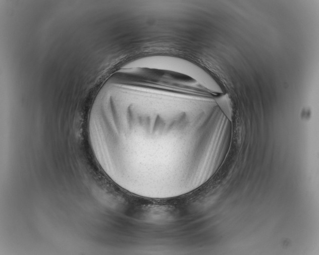 X0000089950255200707271846