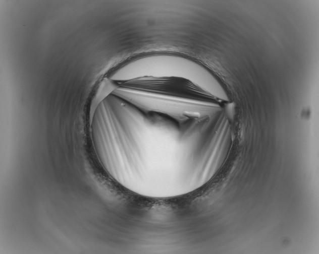 X0000089950256200707271846