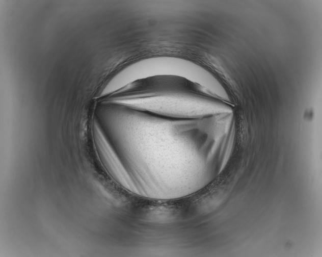 X0000089950259200707271846