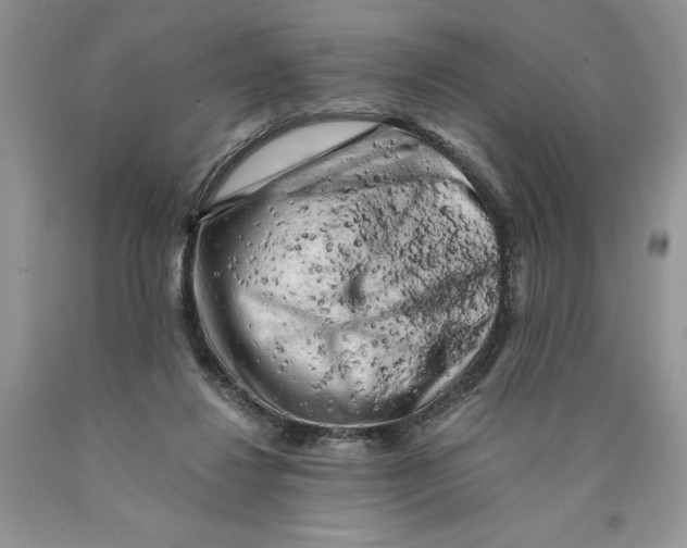 X0000089950260200707271846