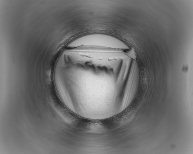 X0000089950262200707271846