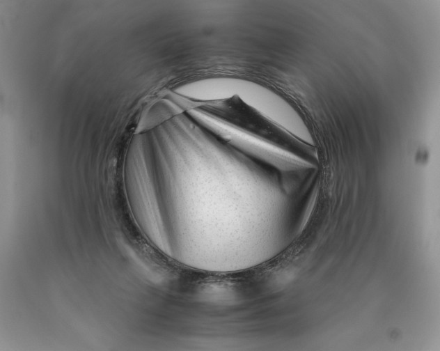X0000089950263200707271846