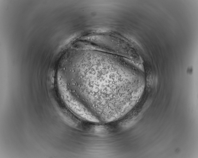 X0000089950264200707271846