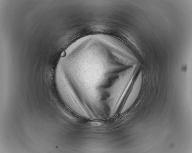 X0000089950265200707271846