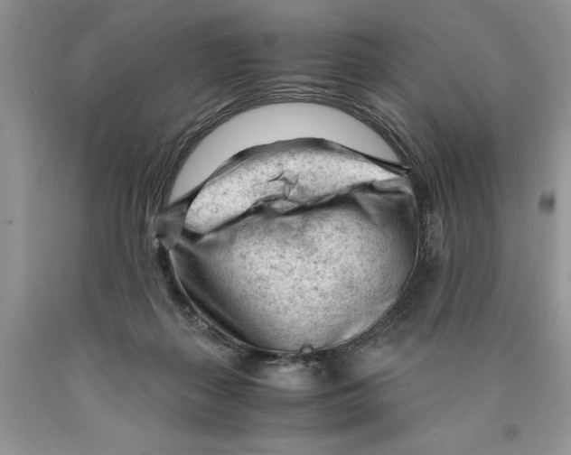 X0000089950267200707271846