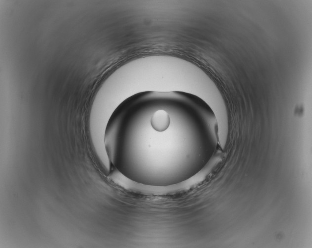 X0000089950268200707271846