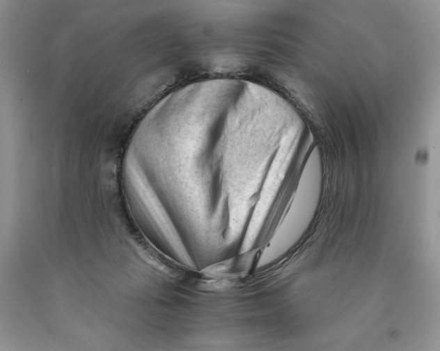 X0000089950269200707271846