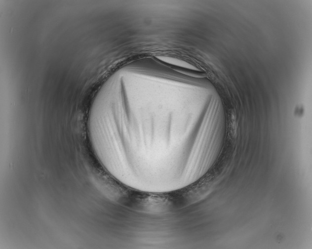 X0000089950270200707271846
