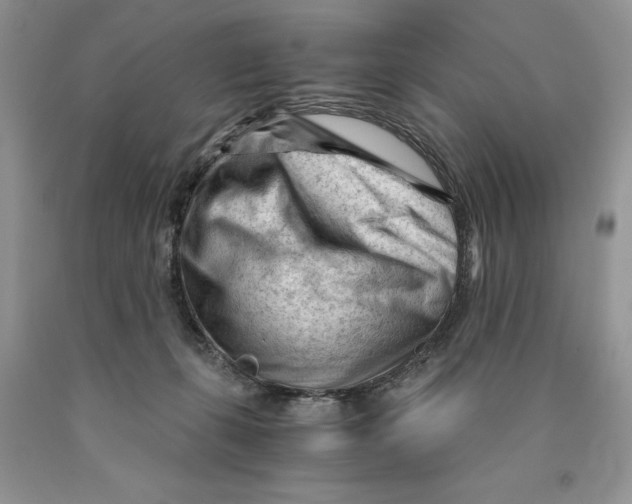 X0000089950271200707271846