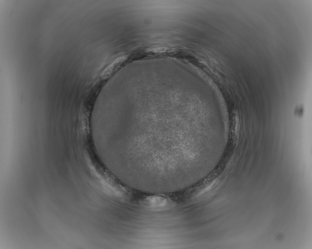X0000089950272200707271846