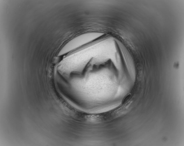 X0000089950273200707271846