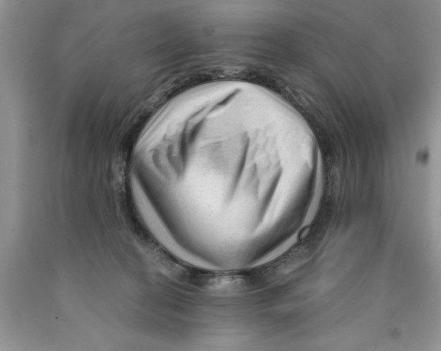 X0000089950274200707271846