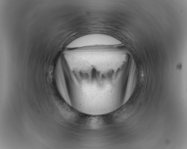 X0000089950275200707271846