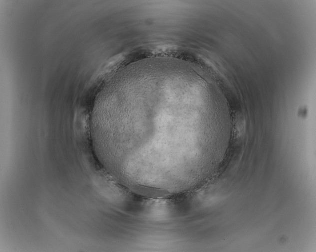 X0000089950276200707271846