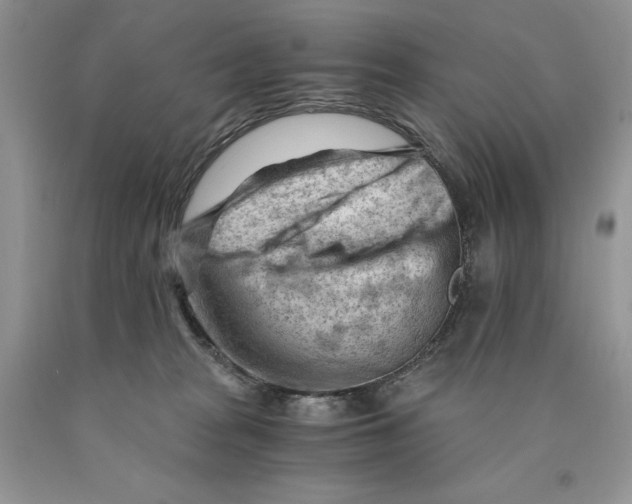 X0000089950277200707271846