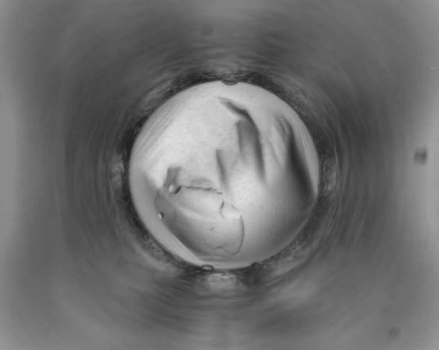 X0000089950279200707271846