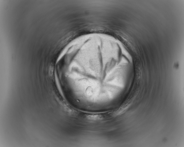 X0000089950281200707271846