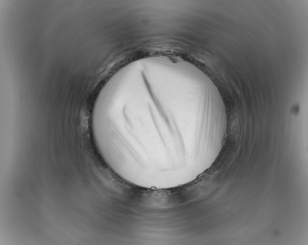 X0000089950282200707271846