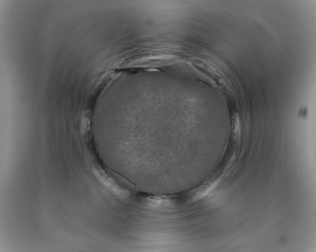 X0000089950284200707271846