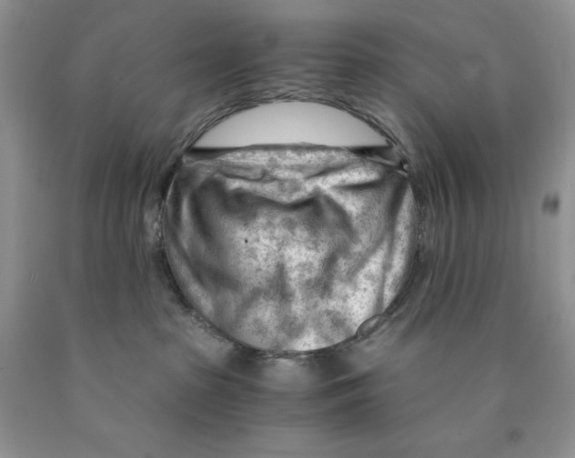 X0000089950285200707271846