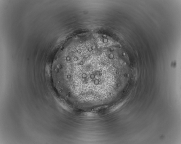 X0000089950286200707271846