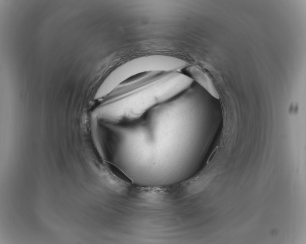 X0000089950288200707271846