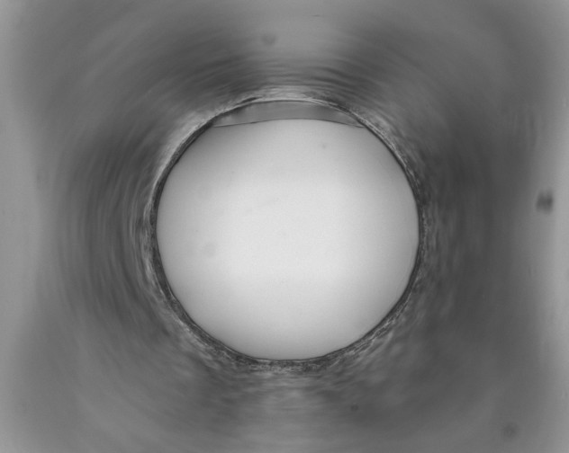X0000089950289200707271846