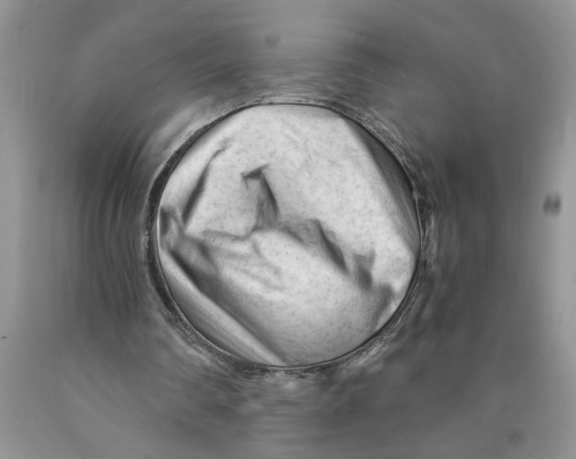 X0000089950290200707271846