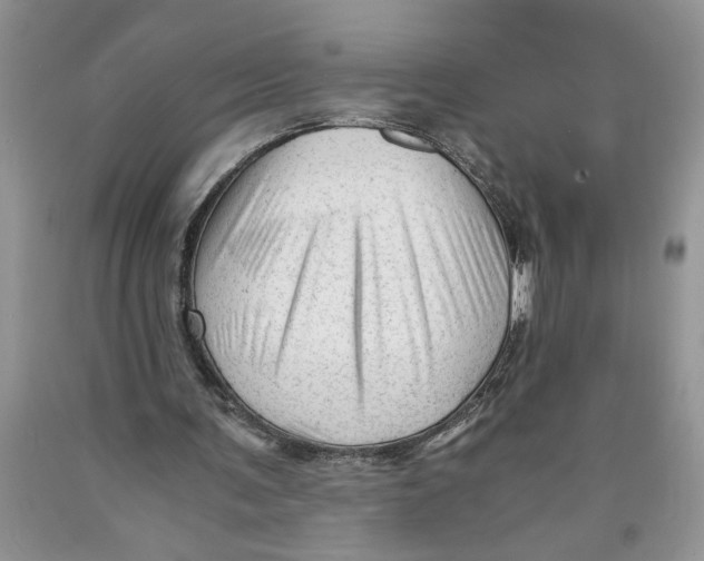 X0000089950291200707271846
