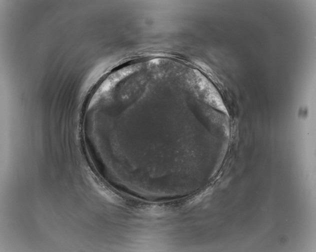 X0000089950293200707271846