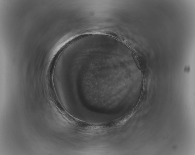 X0000089950295200707271846