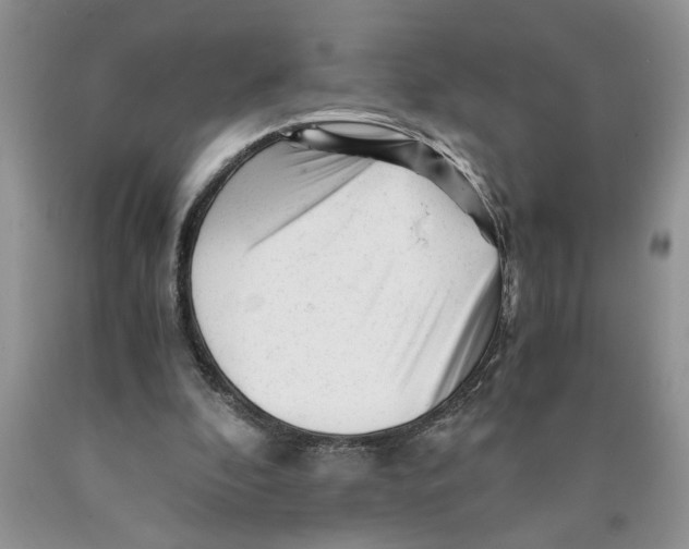 X0000089950296200707271846