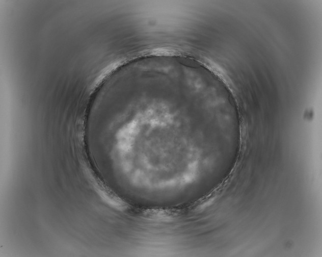 X0000089950297200707271846