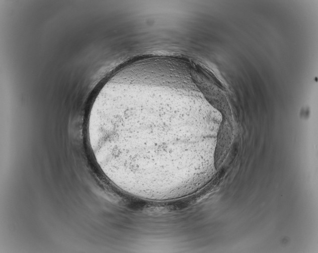 X0000089950299200707271846