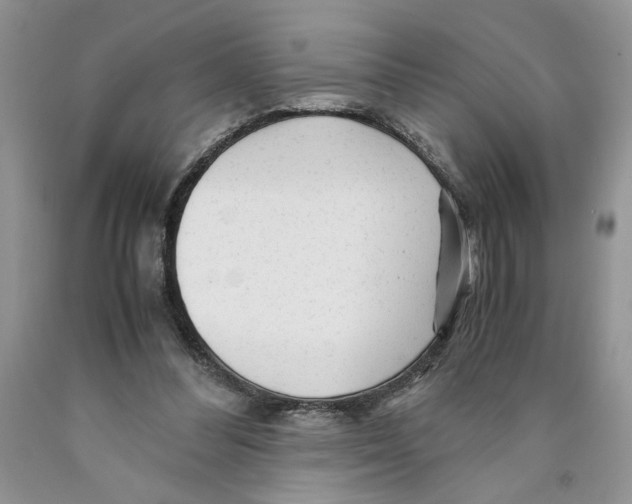 X0000089950300200707271846