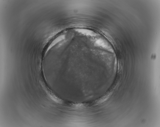 X0000089950301200707271846