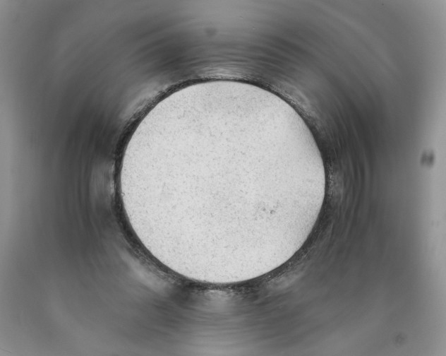 X0000089950302200707271846