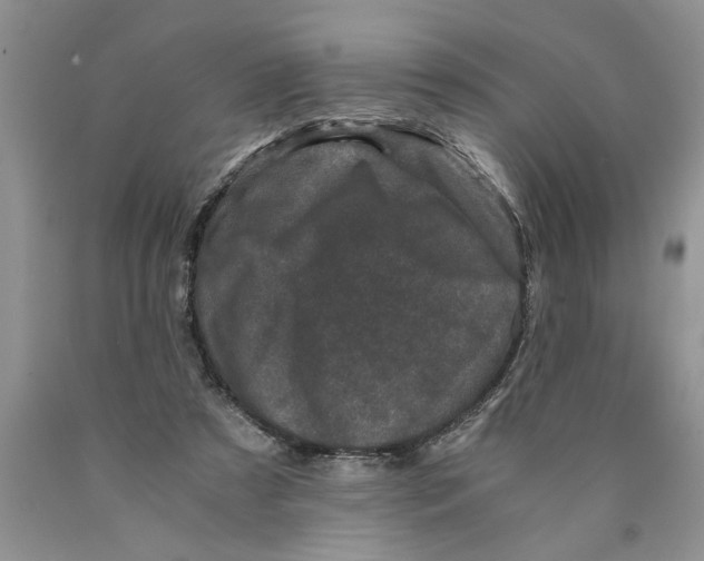 X0000089950305200707271846