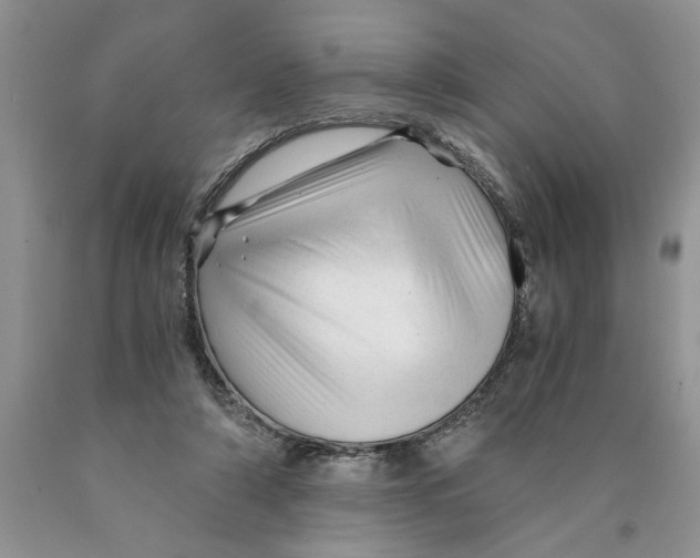 X0000089950306200707271846