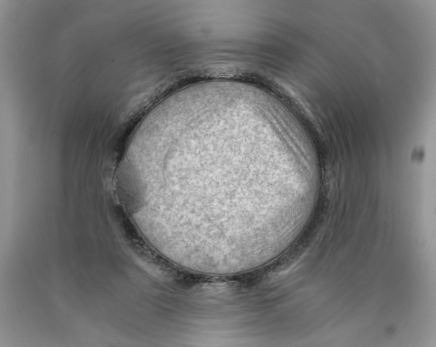X0000089950307200707271846