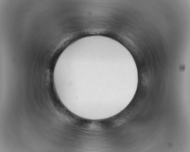 X0000089950308200707271846