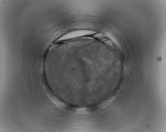 X0000089950309200707271846
