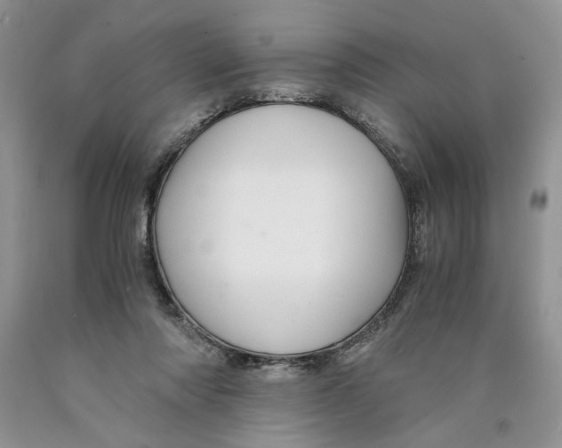 X0000089950310200707271846