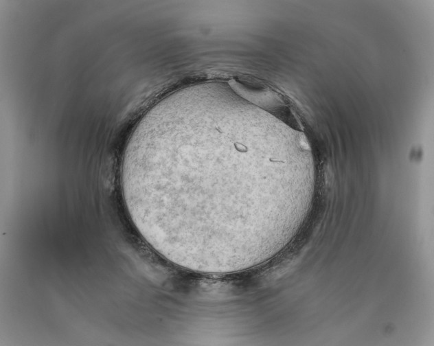 X0000089950311200707271846