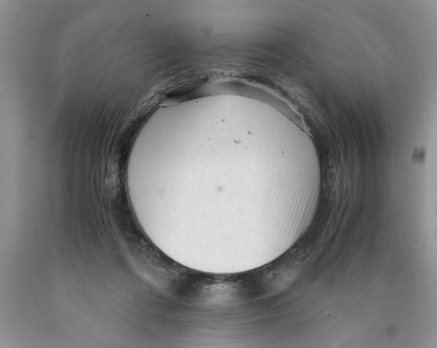 X0000089950312200707271846