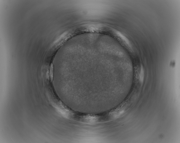 X0000089950313200707271846