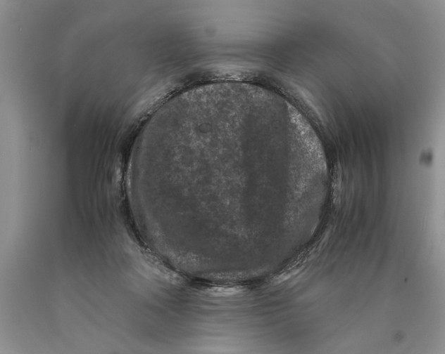 X0000089950314200707271846